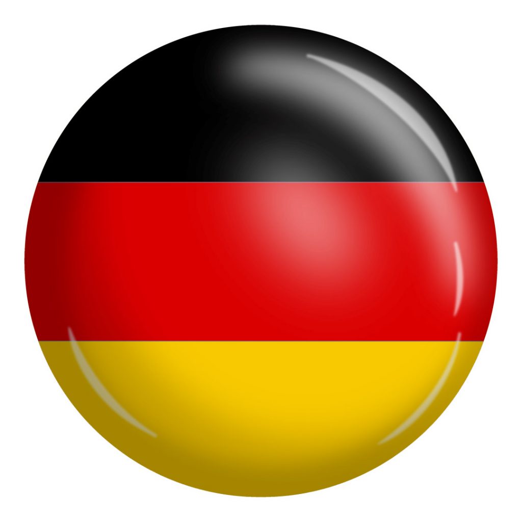 German Shedolarm instructions button